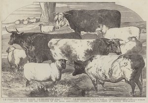 Palkintokarjaa Lincolnissa pidetystä Royal Agricultural Societyn näyttelystä.
